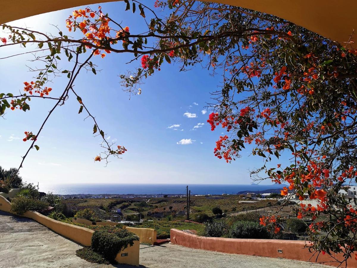 מגלוחורי Vineyards Hill Villa מראה חיצוני תמונה