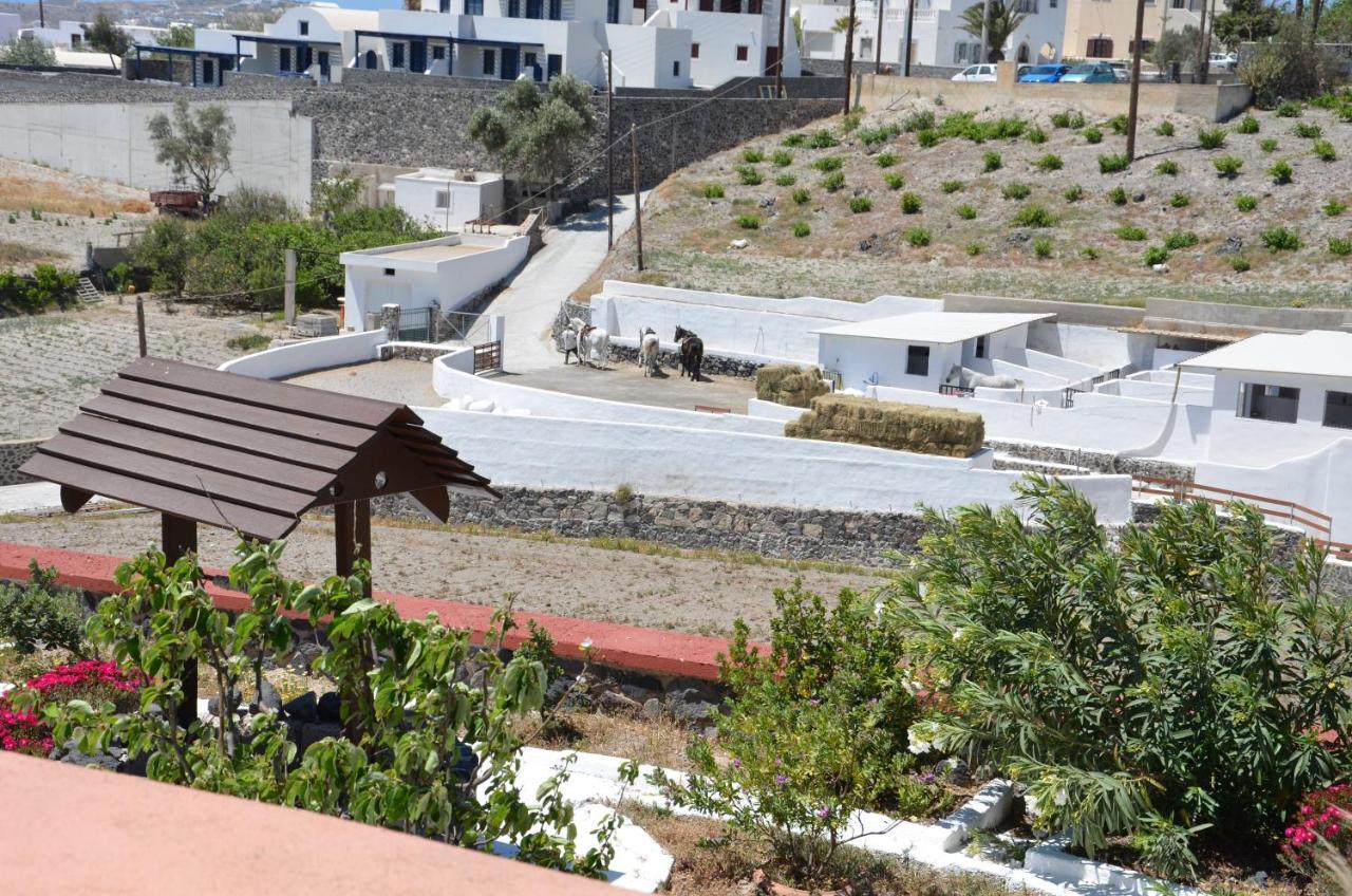מגלוחורי Vineyards Hill Villa מראה חיצוני תמונה